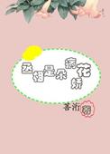 丞相的病弱妻简介