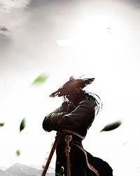 综武侠神州奇侠同人