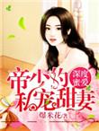 深度蜜爱帝少的私宠暖妻免费