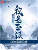 我真的是正派无删减全文阅读