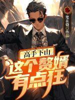 这个赘婿很稳健txt