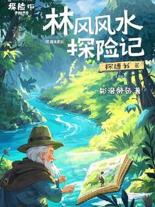 风水师的主角叫林