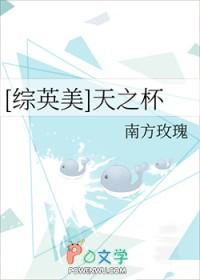 天之杯合集