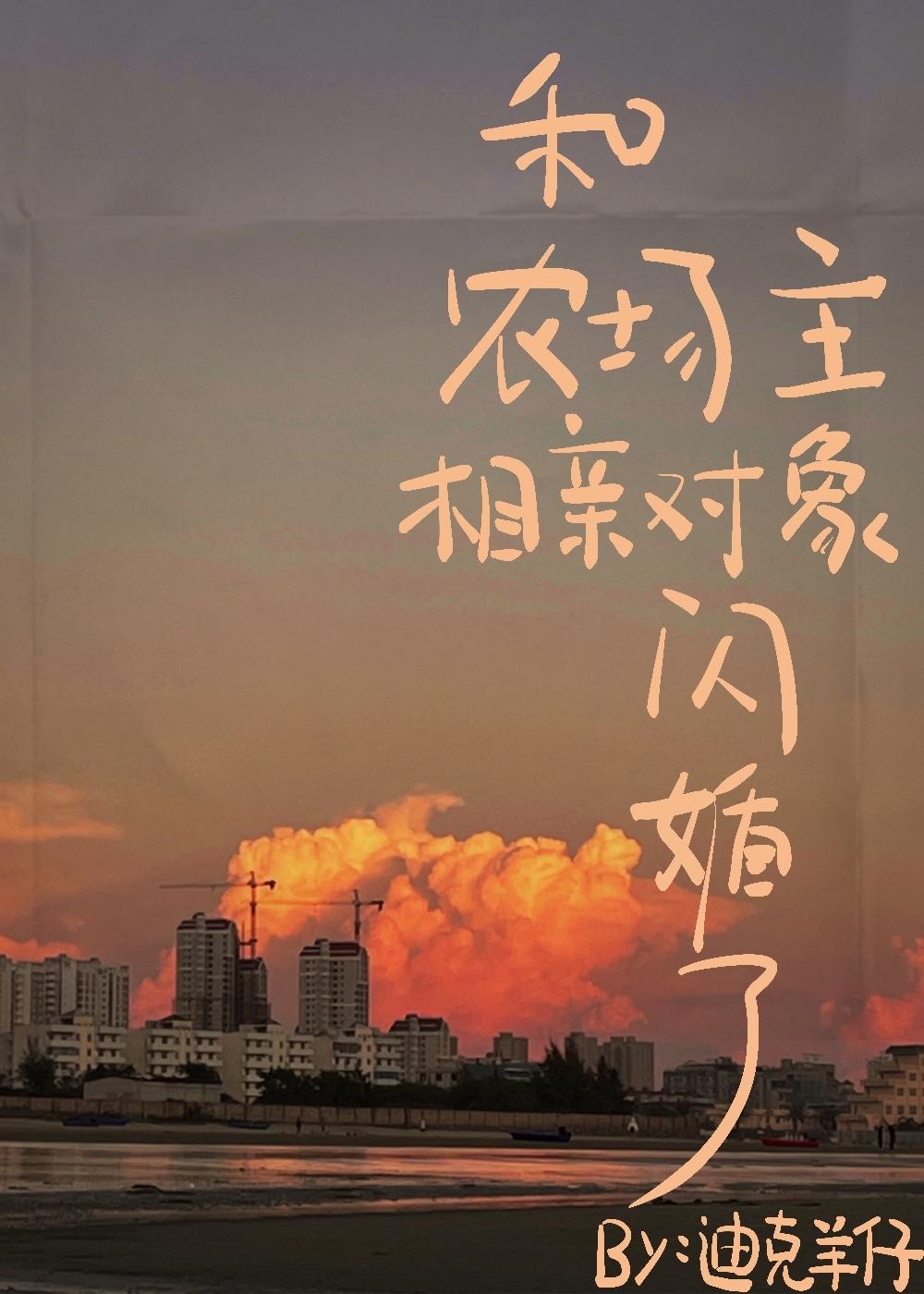 和农场主相亲对象闪婚了全文免费阅读