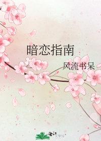 暗恋指南 风流书呆txt
